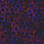 Overwhelmed camo preview