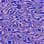 Purple Satin camo preview