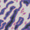 Spectral Overload camo preview