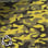 Swamp camo preview