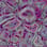 Topo Caustic camo preview