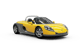 Sport Spider