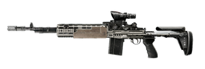 Weapon image