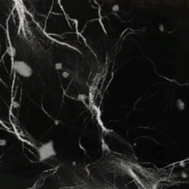 Abyss Camo Challenge