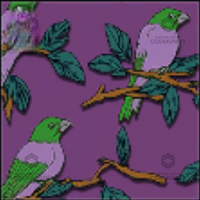 Birdsong Camo Challenge