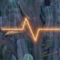 Cacti Cathode  Camo Challenge