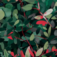Chaparral Camo Challenge