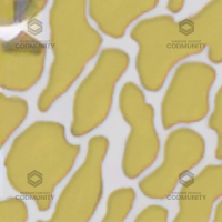 Chlorine camo preview