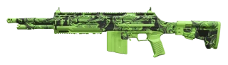 DTIR 30-06 weapon image