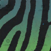 Ferocity Camo Challenge