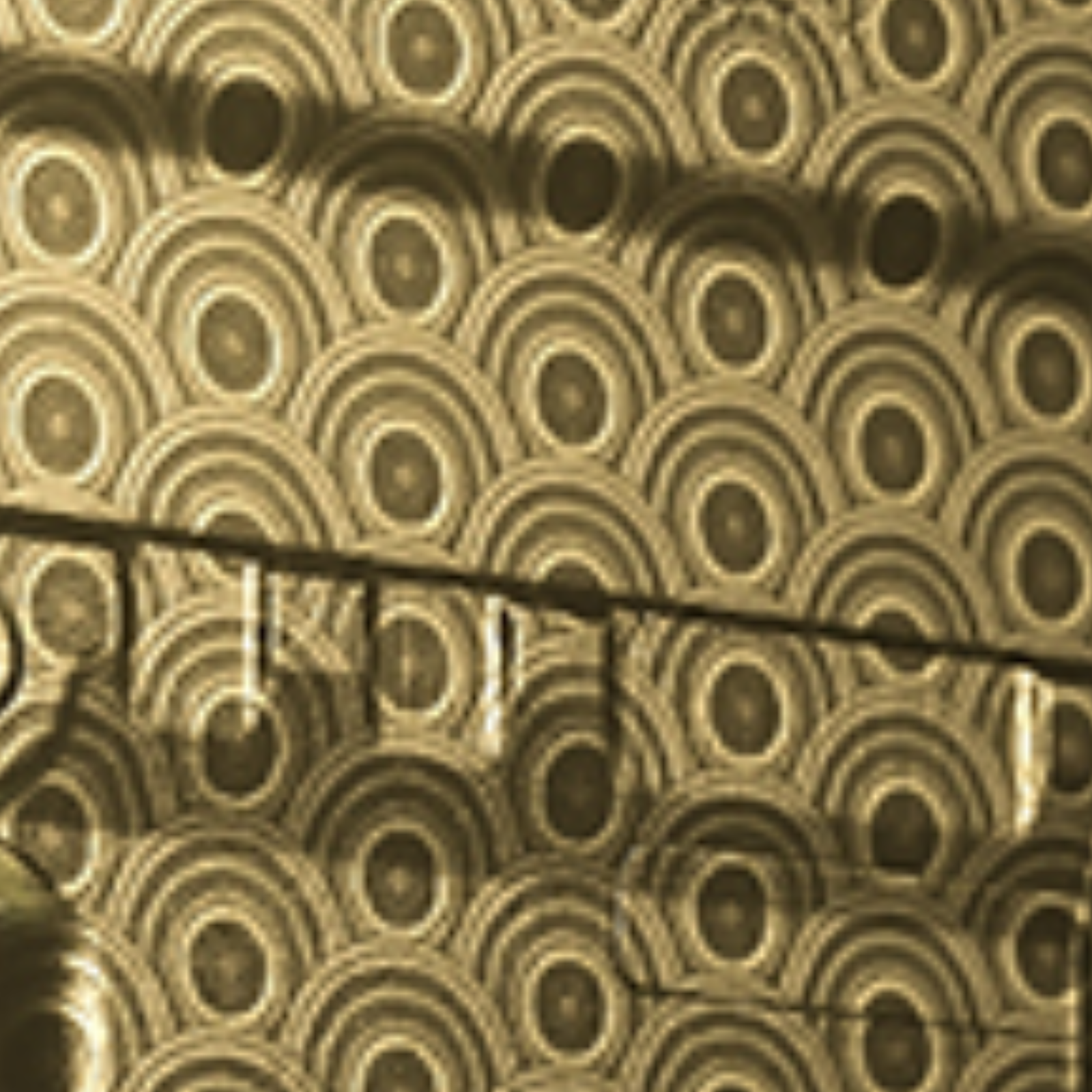 Gilded camo for Superi 46 in MW3 Multiplayer