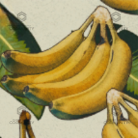Go Bananas  Camo Challenge