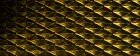 Golden Dragon
