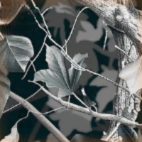 Mountain Goat camo preview