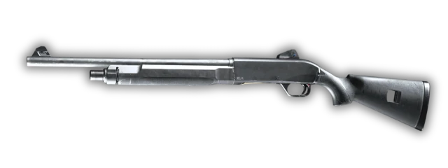 Rezi 12