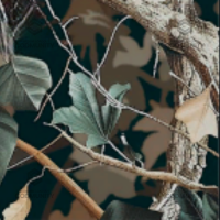 Quail Camo Challenge