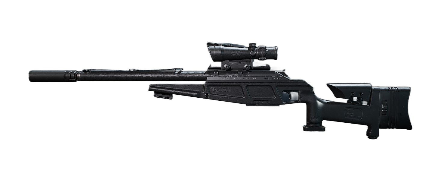 R93 Delta Force Loadout weapon image
