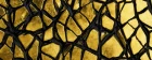 Shattered Gold