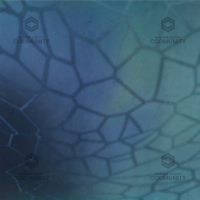 Tide Camo Challenge