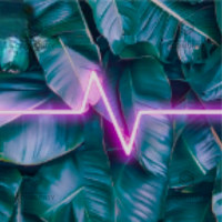 Tropic Terror  Camo Challenge