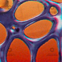 Viscous Camo Challenge