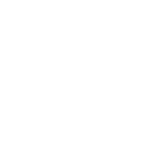 Partner image