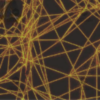 Yottabyte camo preview