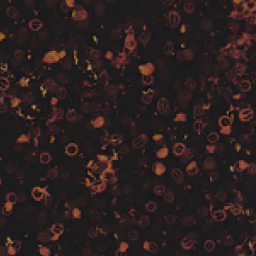 Bacterial Decay Camo Challenge