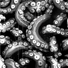Coiled Camo Challenge