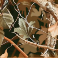 Elk Camo Challenge