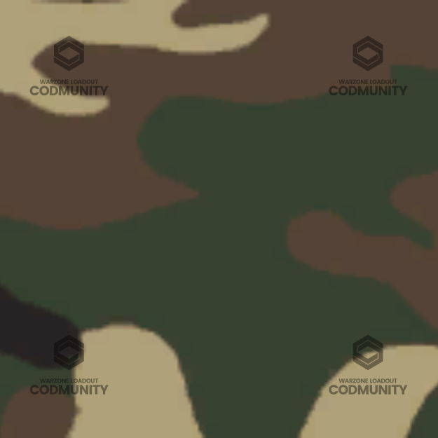 ERDL Camo Challenge