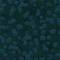 Germ Factory Camo Challenge