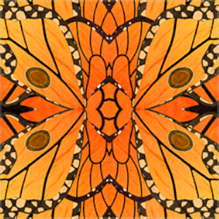 Monarch Camo Challenge
