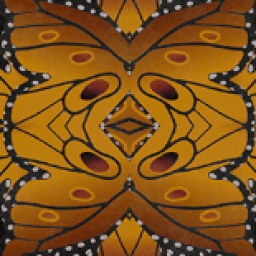 Orange Sulphur Camo Challenge