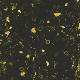 Viral Invasion Camo Challenge