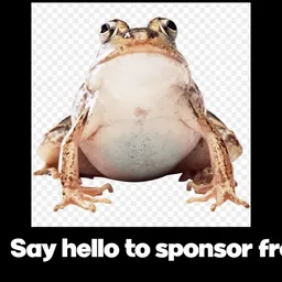 Creator image