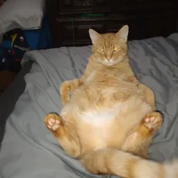 Profile image of Ajdurbin10 