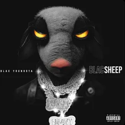 Profile image of Tony