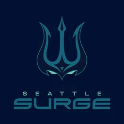 Profile image of surge carbide