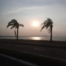 Profile image of [SKOL]Wagnereii