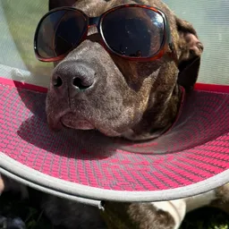 Profile image of User64185291