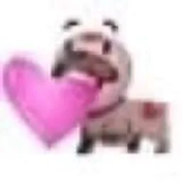 Creator image