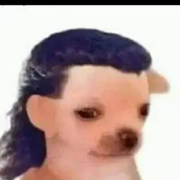 Creator image