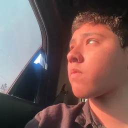 Profile image of Peter 👻