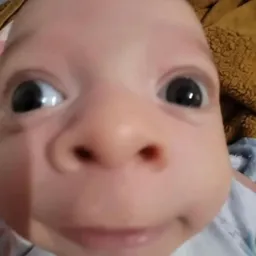 Profile image of Ryox_YT