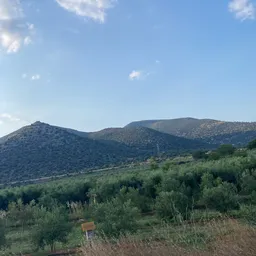 Profile image of BMW E36