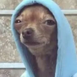 Profile image of Gmoney024