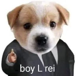 Creator image