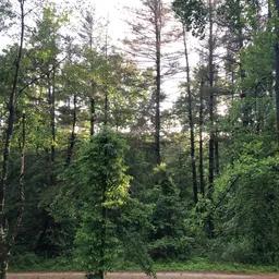 Profile image of Nothing