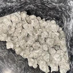 Profile image of nbcc5x 